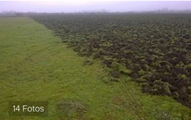 Oportunidad!! En Gral Conesa Chacras En Produccion , Vendo , Permuto, Financio !! DUEÑO DIRECTO