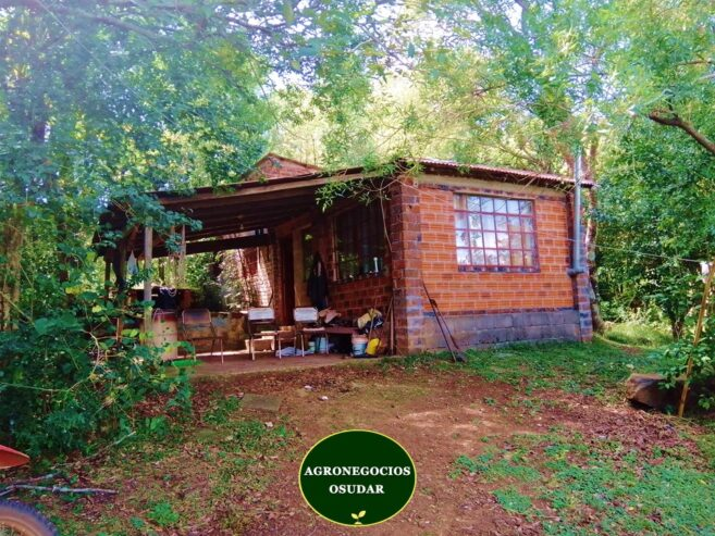 57 Hectáreas – Fachinal Misiones