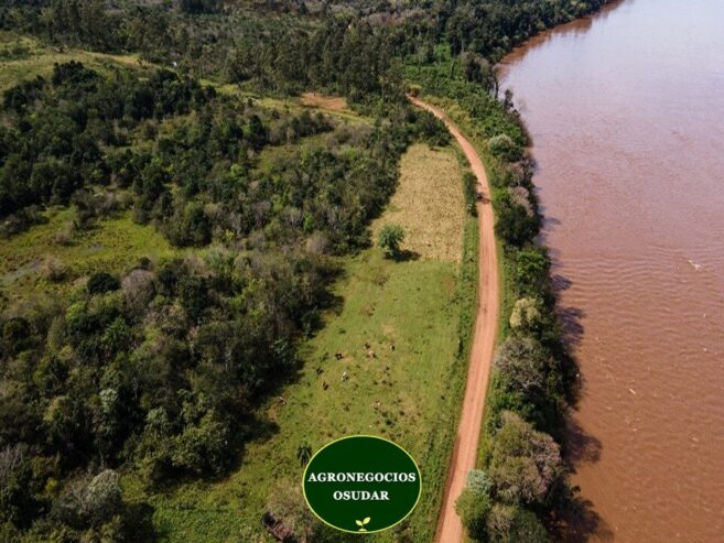 51 Hectáreas – San Javier Misiones
