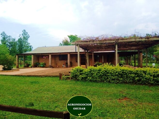 167 Hectáreas – San José Misiones