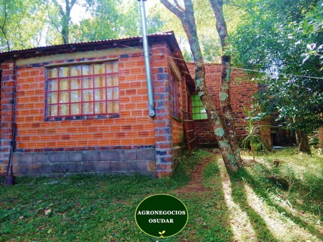 57 Hectáreas – Fachinal Misiones