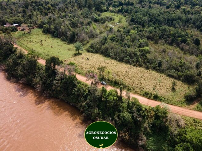 51 Hectáreas – San Javier Misiones