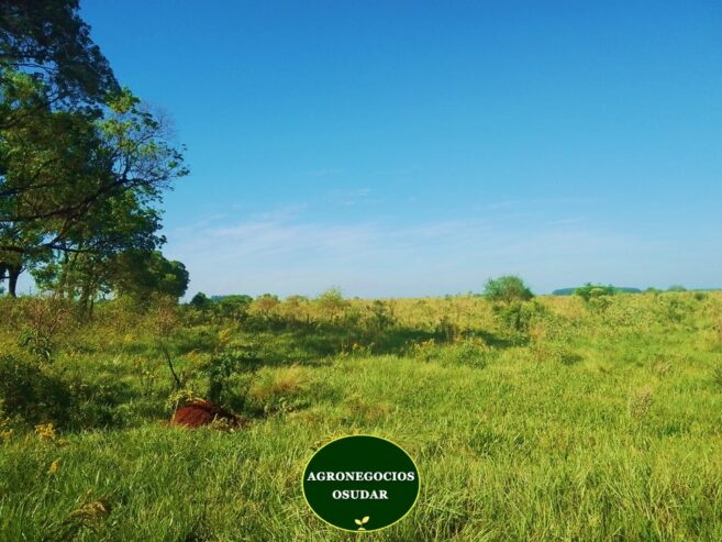 202 Hectáreas – Garruchos Corrientes