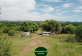 57 Hectáreas – Fachinal Misiones