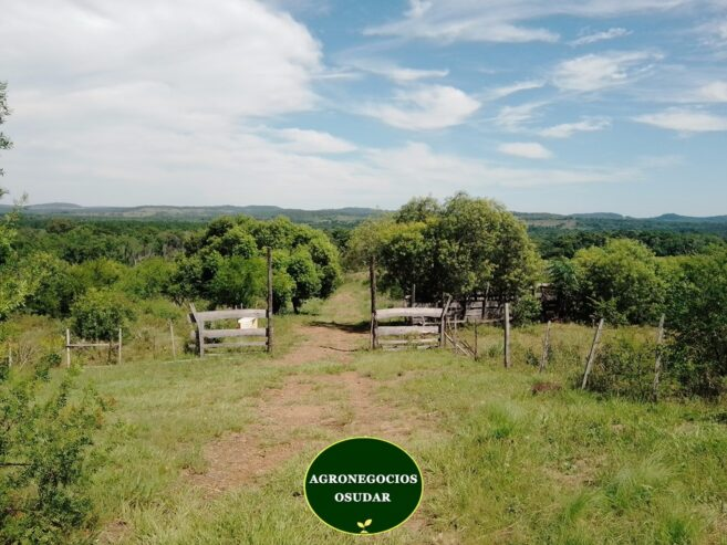 57 Hectáreas – Fachinal Misiones