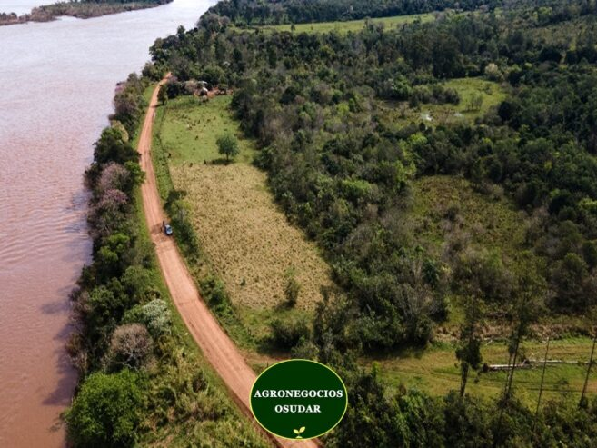 51 Hectáreas – San Javier Misiones