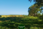 202 Hectáreas – Garruchos Corrientes