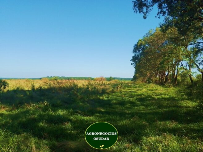 202 Hectáreas – Garruchos Corrientes