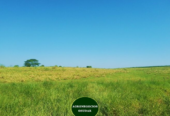 202 Hectáreas – Garruchos Corrientes