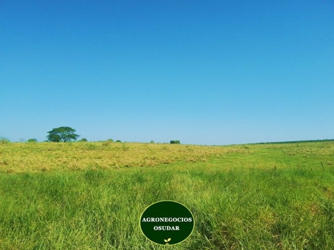 202 Hectáreas – Garruchos Corrientes