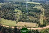 51 Hectáreas – San Javier Misiones