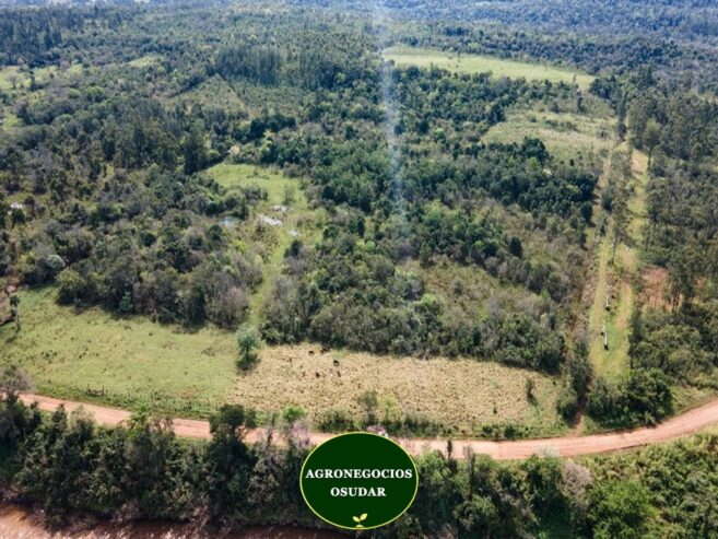 51 Hectáreas – San Javier Misiones