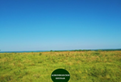 202 Hectáreas – Garruchos Corrientes