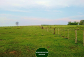 167 Hectáreas – San José Misiones
