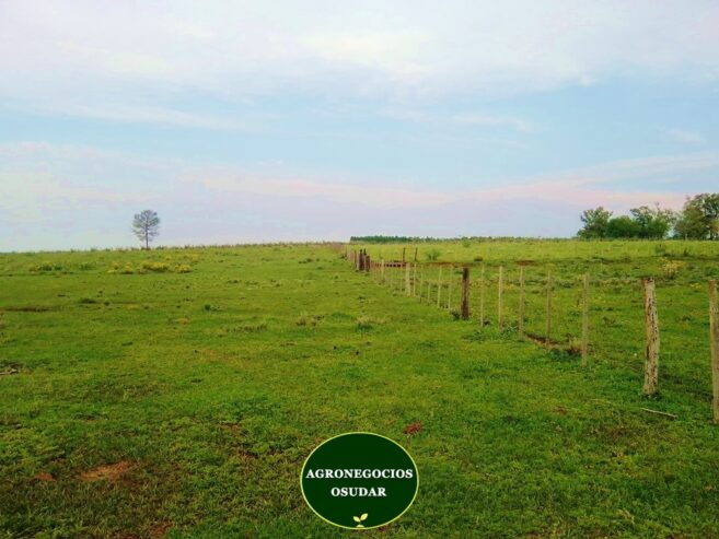 167 Hectáreas – San José Misiones