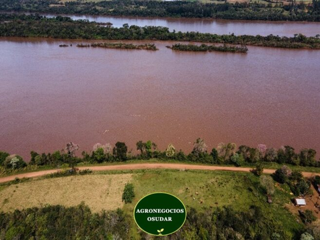 51 Hectáreas – San Javier Misiones