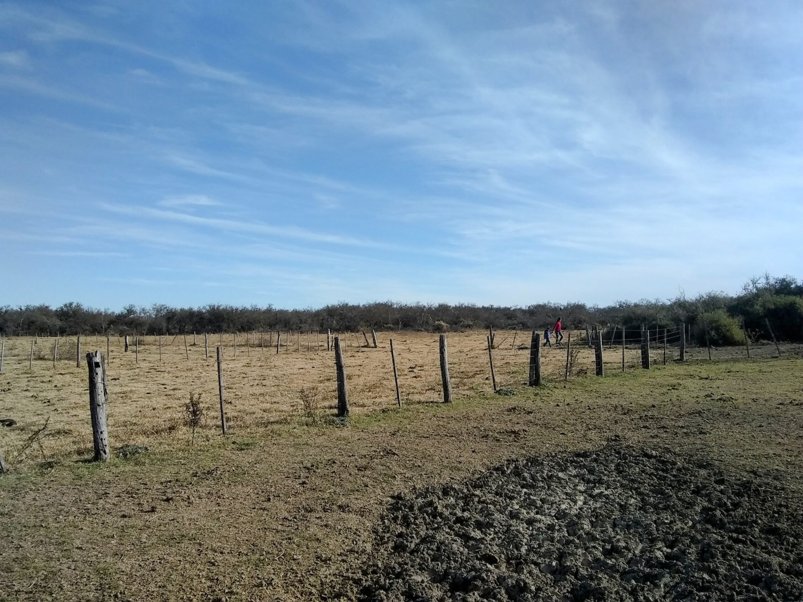 Alquilo 246 has en Campo Garay