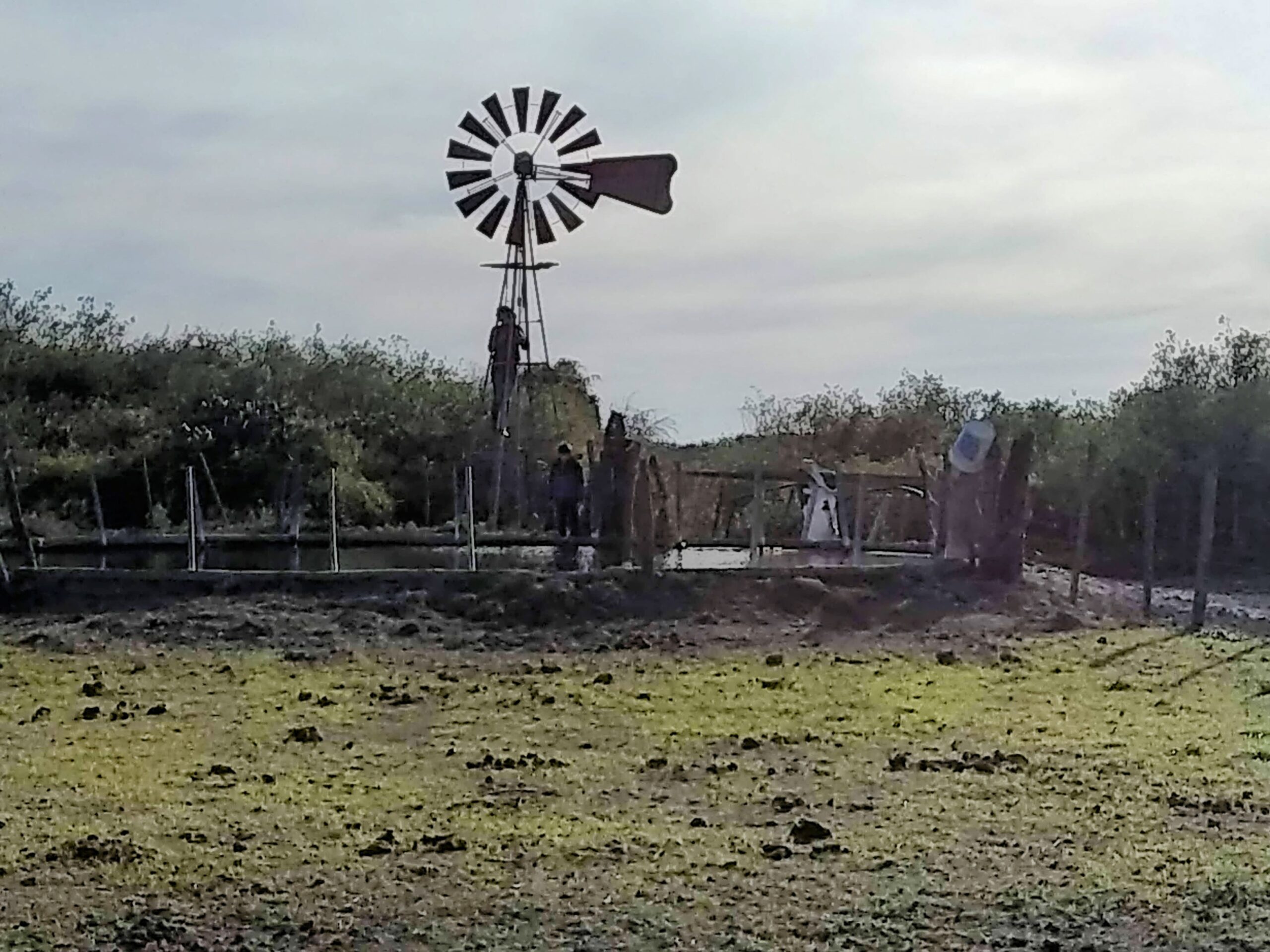 Alquilo 246 has en Campo Garay