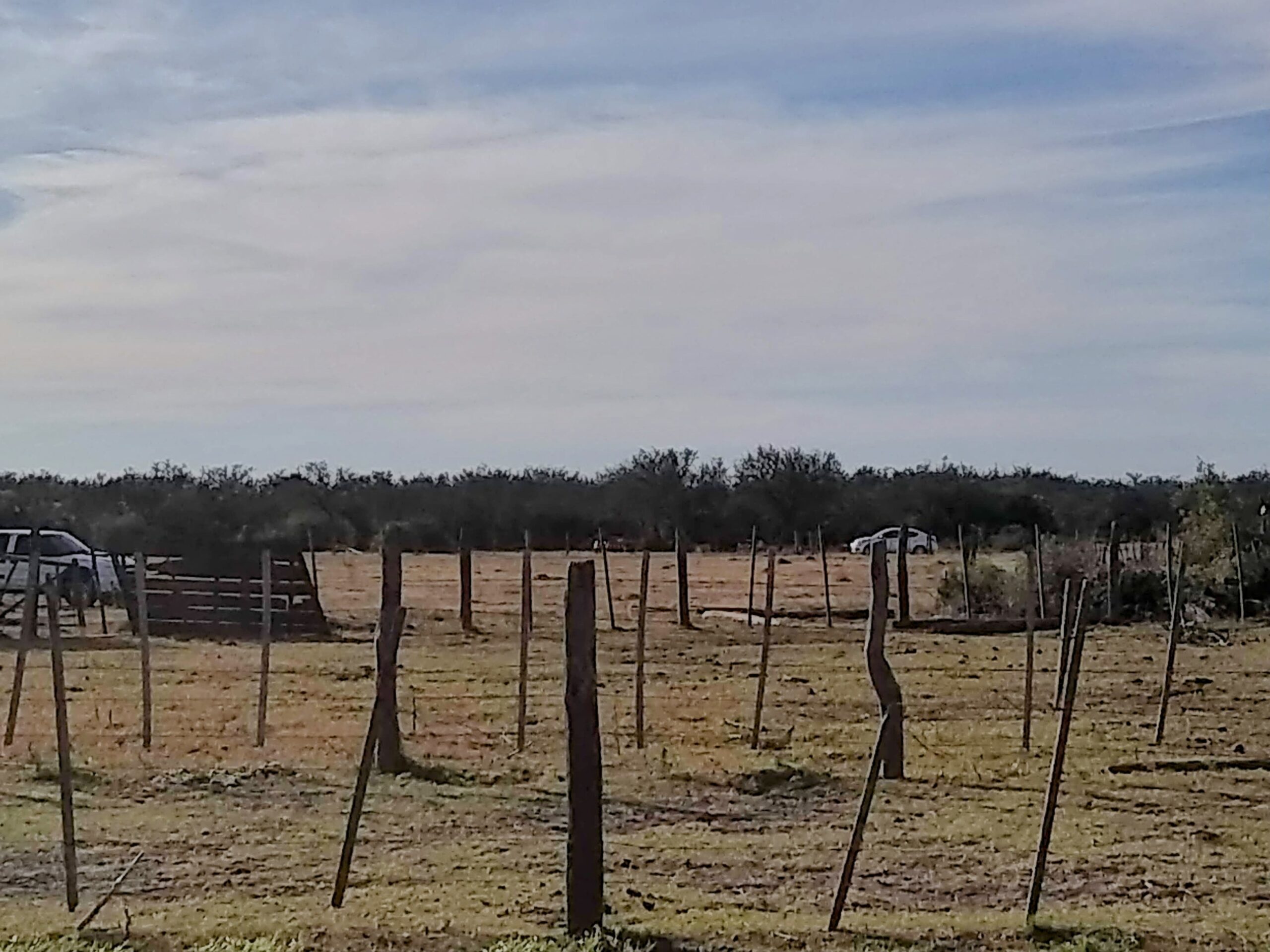 Alquilo 246 has en Campo Garay