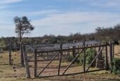 Alquilo 246 has en Campo Garay