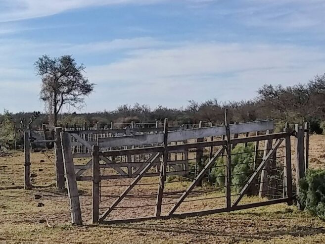 Alquilo 246 has en Campo Garay