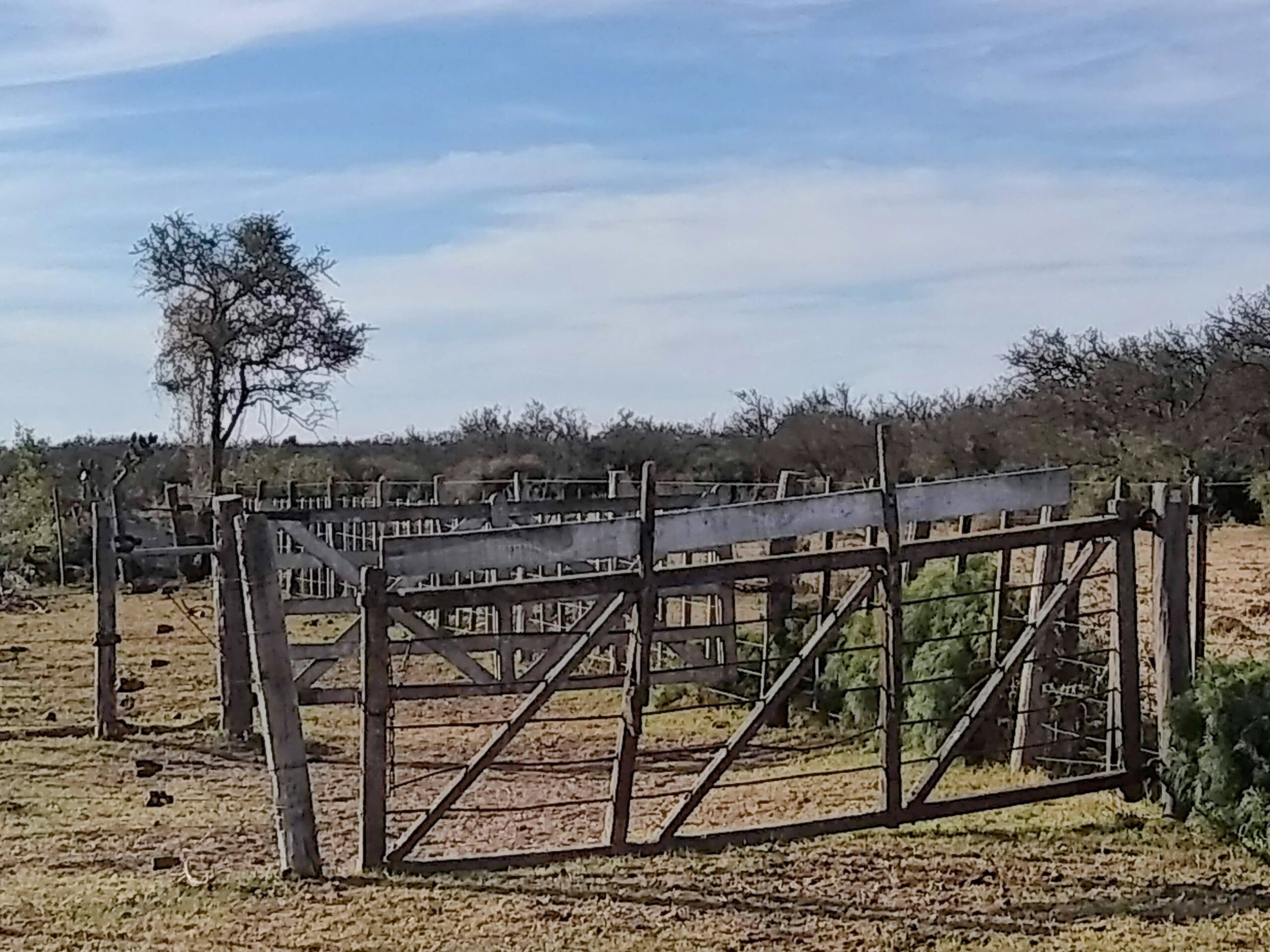 Alquilo 246 has en Campo Garay