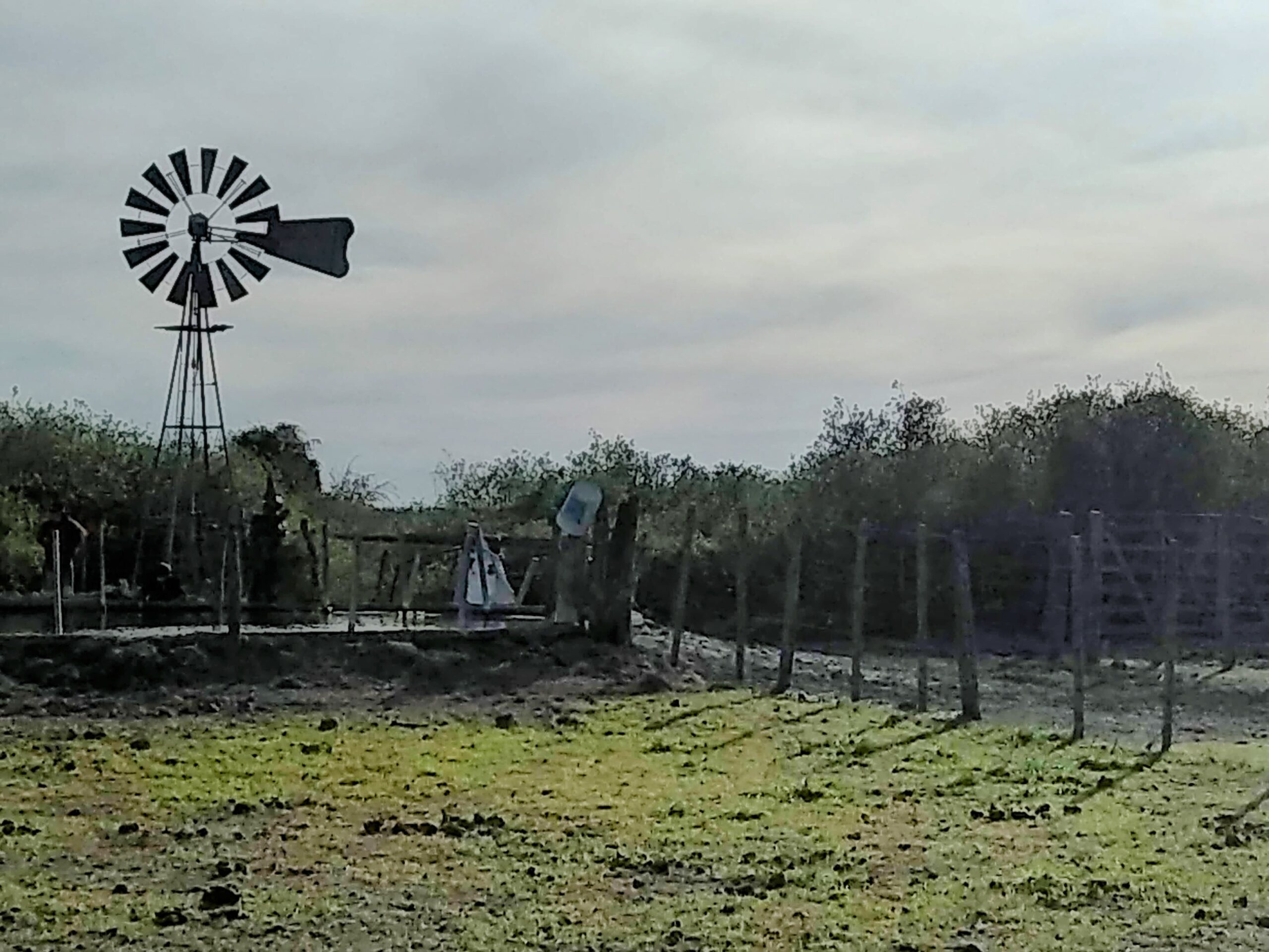 Alquilo 246 has en Campo Garay