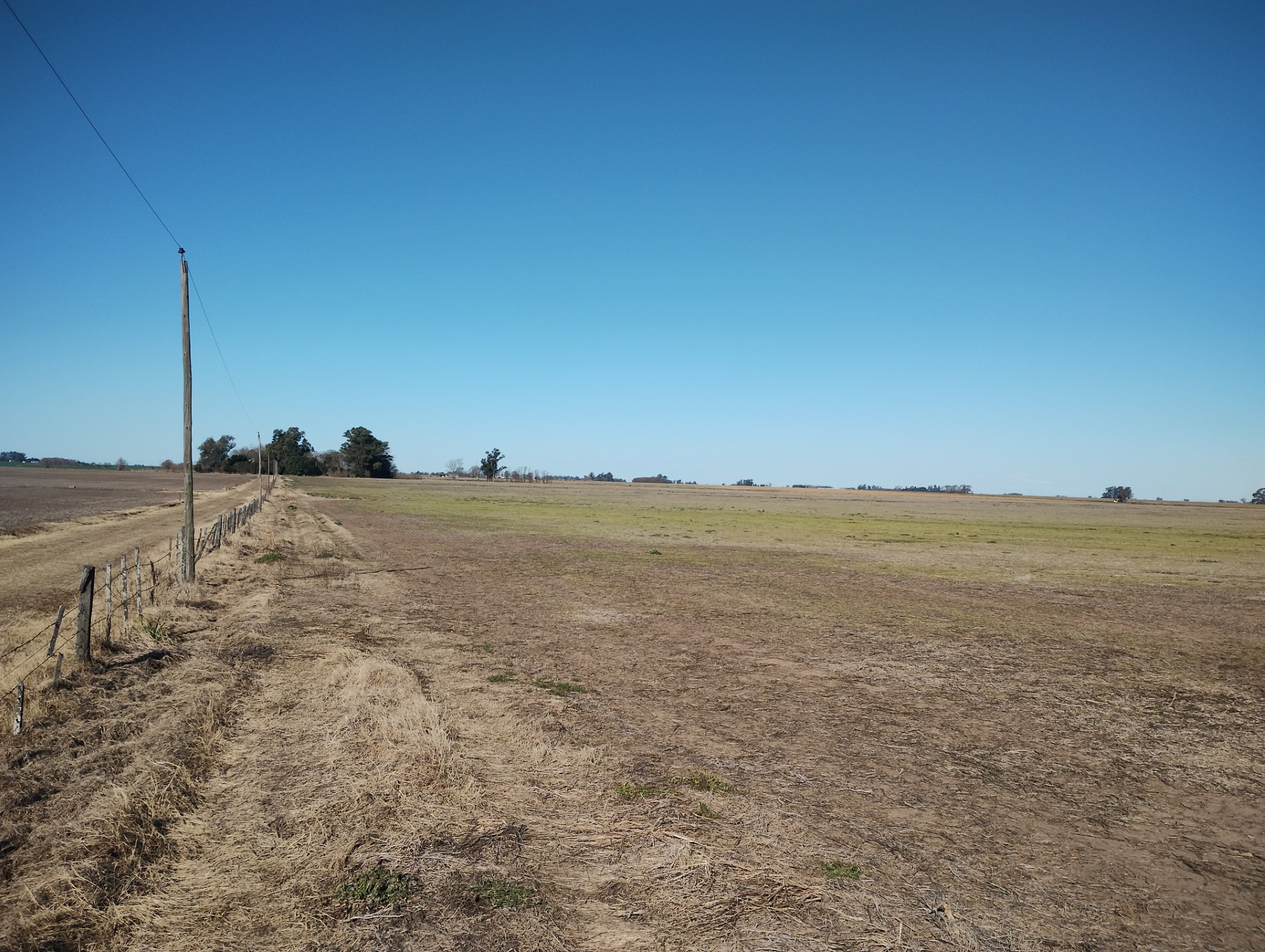 VENTA Campo 79,66 has Pergamino