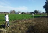 VENTA DE CAMPO*. Los Pereyra. Dpto. ROBLES . Superficie total:: *188hectareas