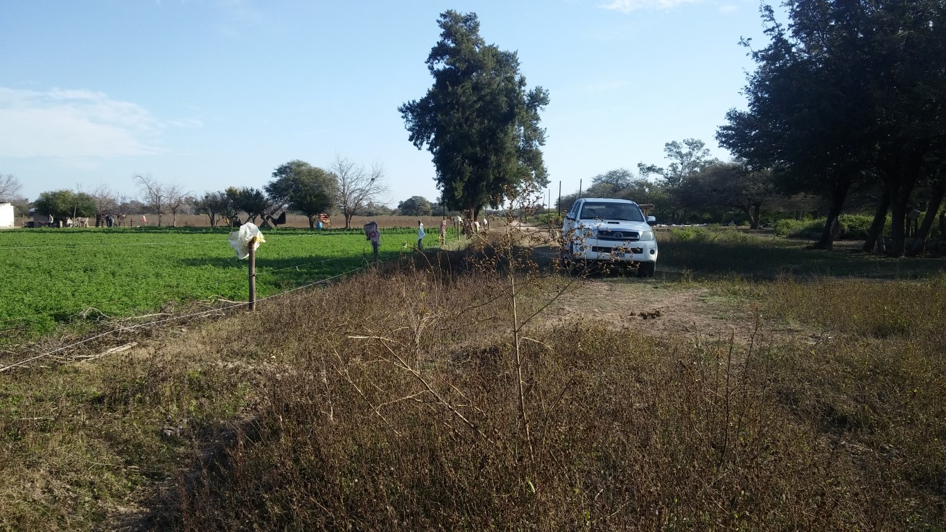 VENTA DE CAMPO*. Los Pereyra. Dpto. ROBLES . Superficie total:: *188hectareas