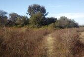 VENTA DE CAMPO*. Los Pereyra. Dpto. ROBLES . Superficie total:: *188hectareas