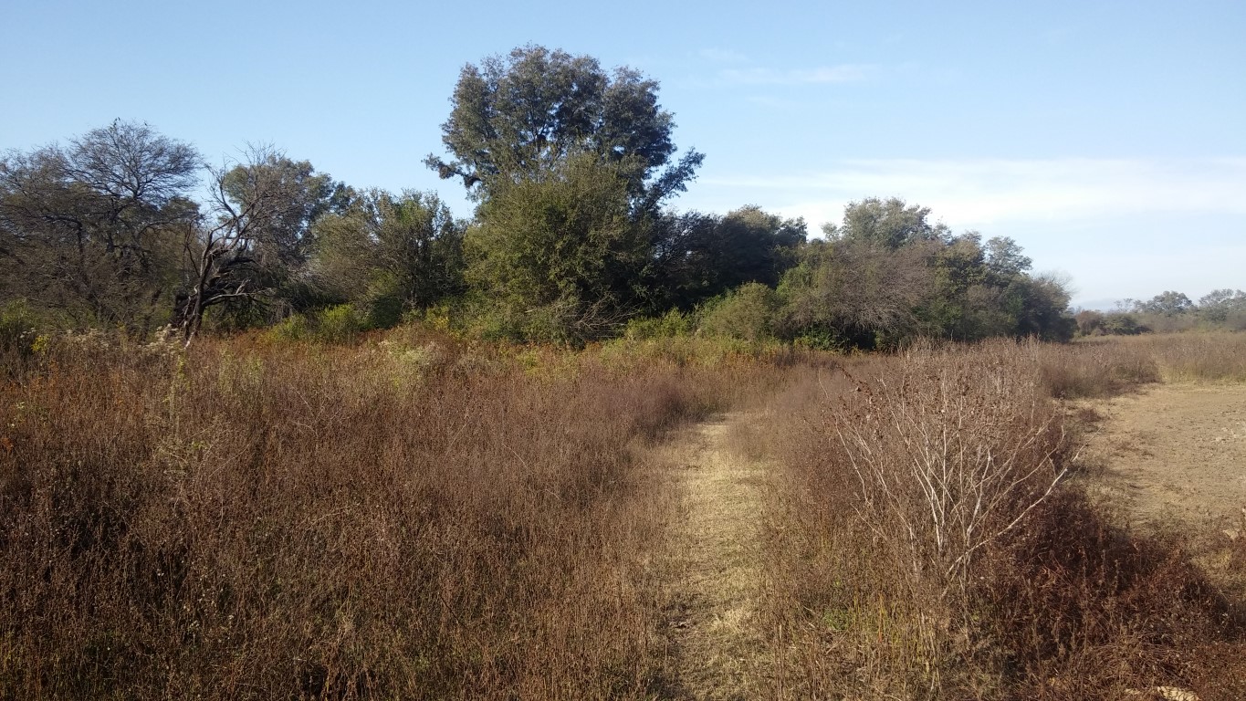 VENTA DE CAMPO*. Los Pereyra. Dpto. ROBLES . Superficie total:: *188hectareas