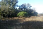 VENTA DE CAMPO*. Los Pereyra. Dpto. ROBLES . Superficie total:: *188hectareas