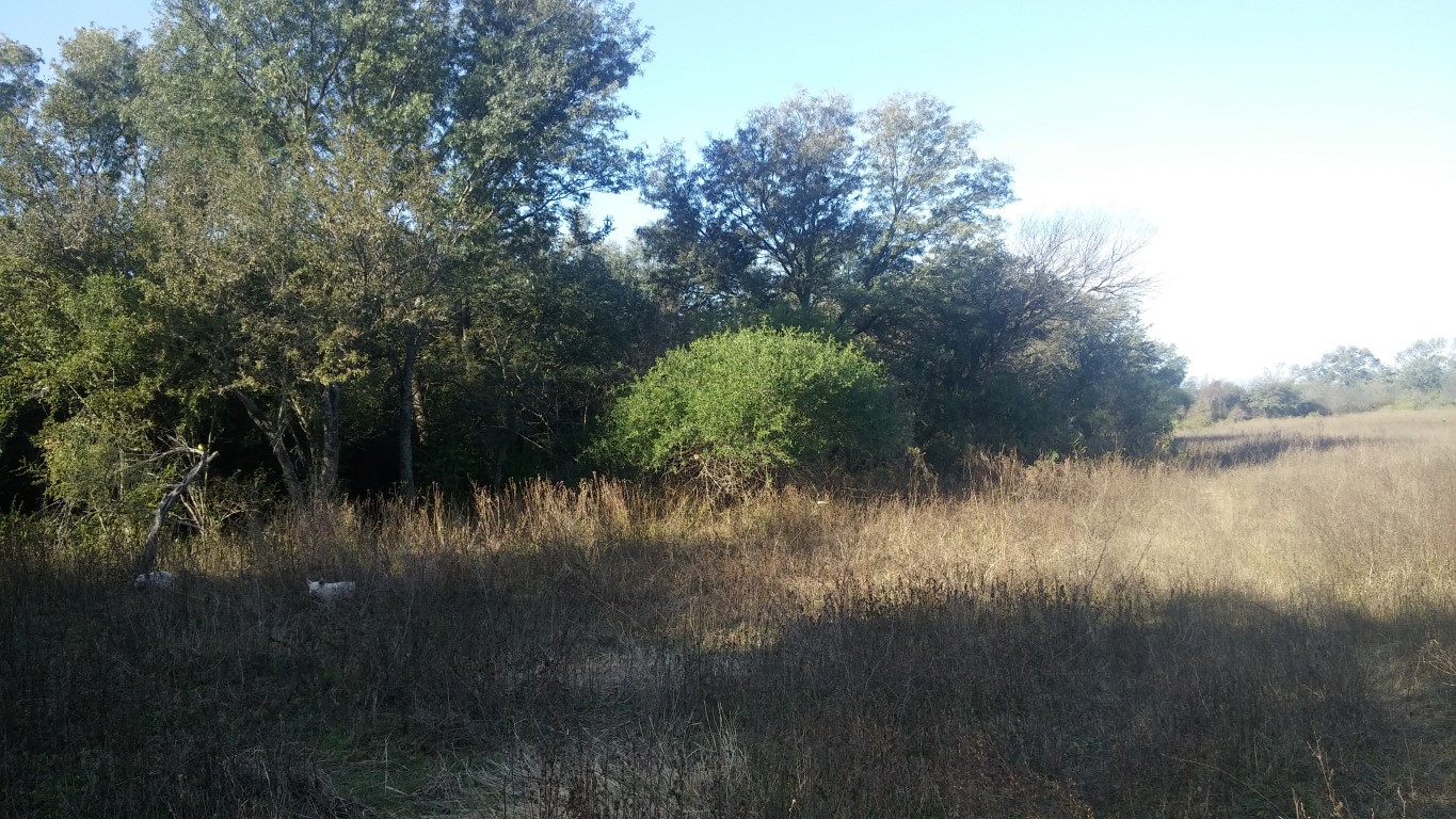 VENTA DE CAMPO*. Los Pereyra. Dpto. ROBLES . Superficie total:: *188hectareas