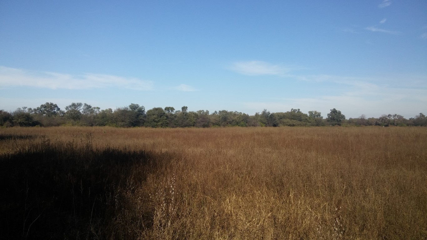 VENTA DE CAMPO*. Los Pereyra. Dpto. ROBLES . Superficie total:: *188hectareas