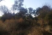 VENTA DE CAMPO*. Los Pereyra. Dpto. ROBLES . Superficie total:: *188hectareas
