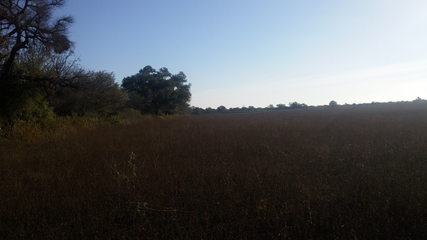 VENTA DE CAMPO*. Los Pereyra. Dpto. ROBLES . Superficie total:: *188hectareas