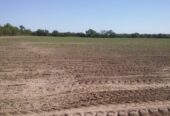 VENTA DE CAMPO*. Los Pereyra. Dpto. ROBLES . Superficie total:: *188hectareas