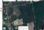 VENTA DE CAMPO*. Los Pereyra. Dpto. ROBLES . Superficie total:: *188hectareas
