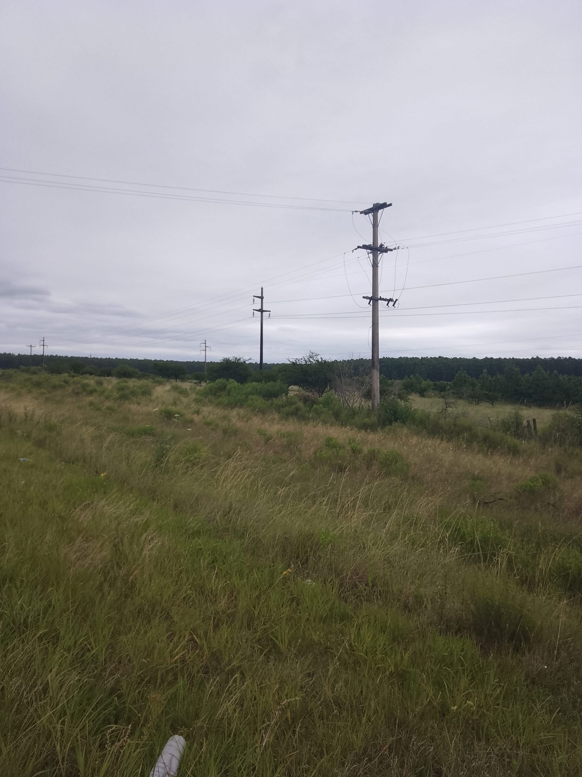 Vendo lotes sobre autovía g.artigas la del mercosur en entre rios