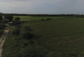 VENTA DE CAMPO*. Los Pereyra. Dpto. ROBLES . Superficie total:: *188hectareas
