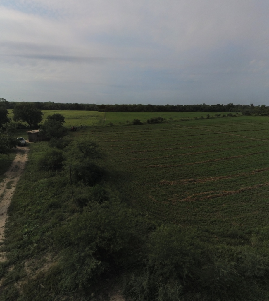 VENTA DE CAMPO*. Los Pereyra. Dpto. ROBLES . Superficie total:: *188hectareas