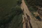 VENTA DE CAMPO*. Los Pereyra. Dpto. ROBLES . Superficie total:: *188hectareas
