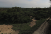 VENTA DE CAMPO*. Los Pereyra. Dpto. ROBLES . Superficie total:: *188hectareas