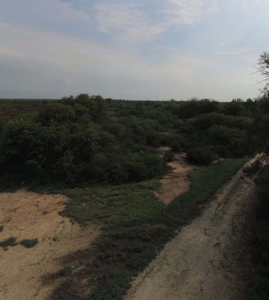 VENTA DE CAMPO*. Los Pereyra. Dpto. ROBLES . Superficie total:: *188hectareas