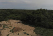 VENTA DE CAMPO*. Los Pereyra. Dpto. ROBLES . Superficie total:: *188hectareas
