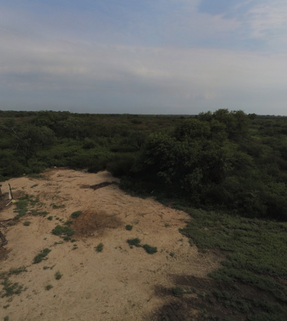 VENTA DE CAMPO*. Los Pereyra. Dpto. ROBLES . Superficie total:: *188hectareas