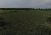 VENTA DE CAMPO*. Los Pereyra. Dpto. ROBLES . Superficie total:: *188hectareas