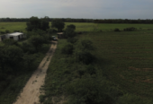 VENTA DE CAMPO*. Los Pereyra. Dpto. ROBLES . Superficie total:: *188hectareas