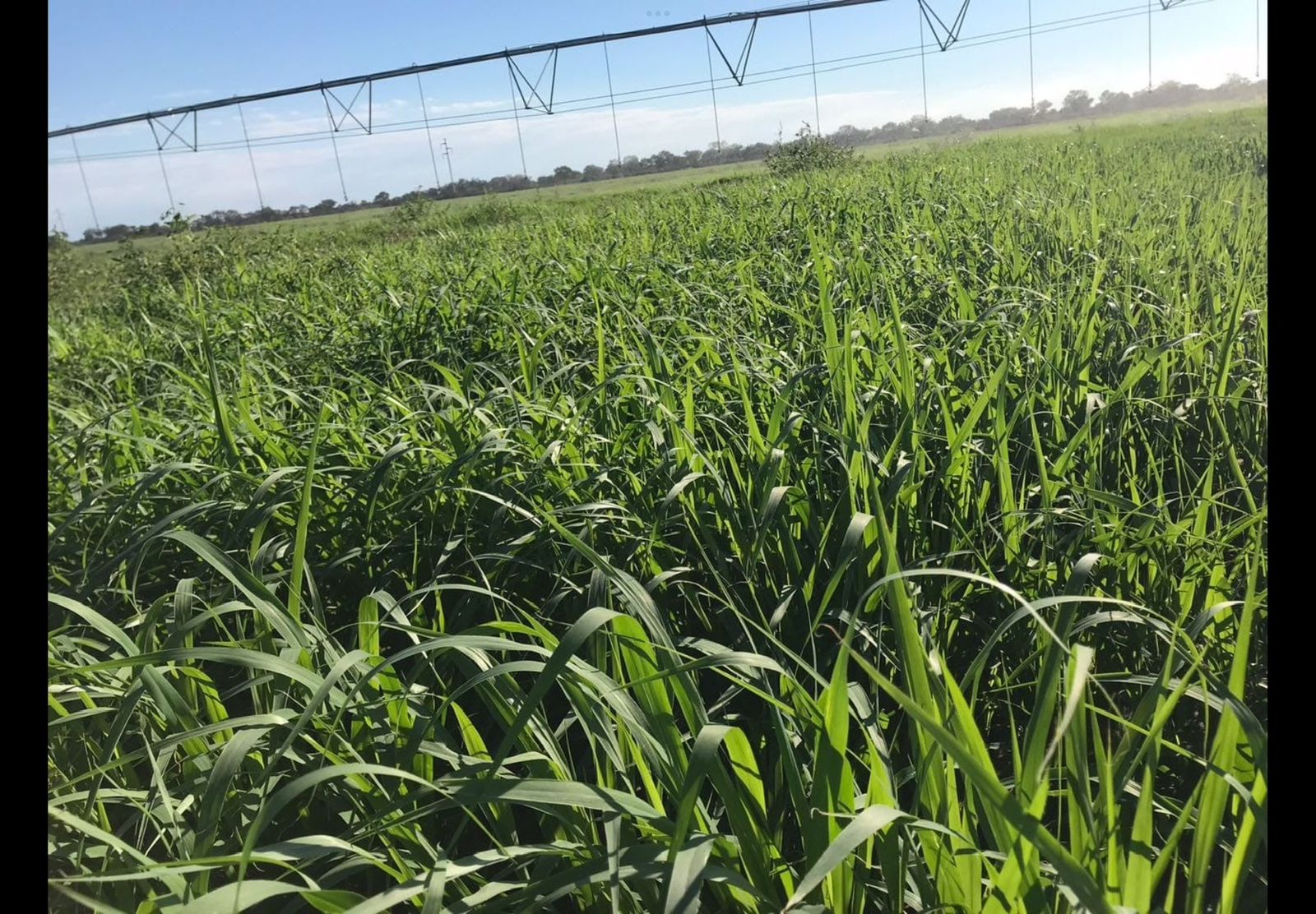 Estancia mixta en La Rioja sobre ruta 38